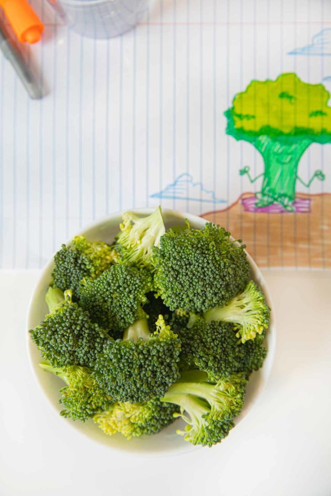 Uncooked Steamed Broccoli in a cereal bowl