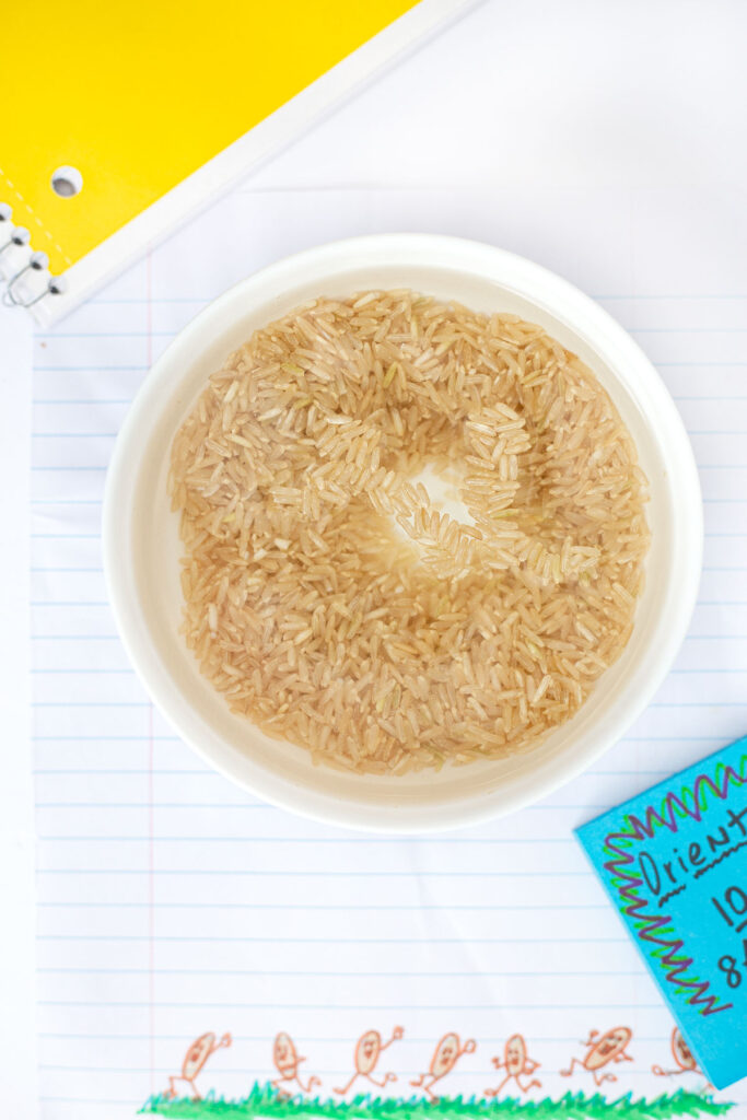 Microwave Brown Rice uncooked rice mixed with water