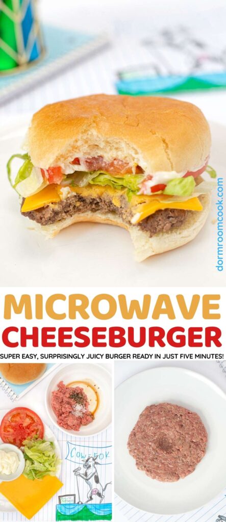 Microwave Cheeseburger collage